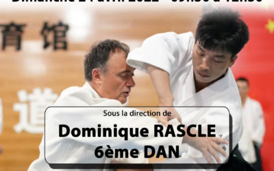 affiche-dom-rascle-cid